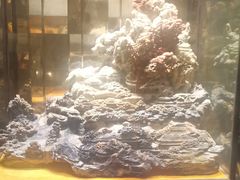 -顺风海鲜港(金玉兰店)