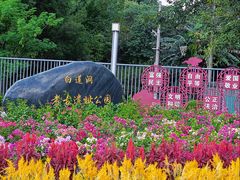 -柳州白莲洞洞穴科学博物馆