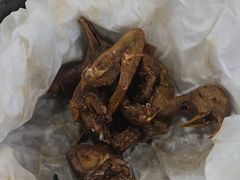 -侠成水上农庄(工业大道店)