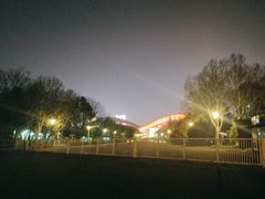 -南京奥林匹克体育中心-体育馆