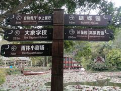 -野象谷景区