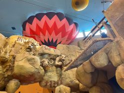 点击看大图 -卡通尼·Safari非洲探索乐园·生日会(金桥国际商业广场店)