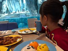 -帝企鹅自助餐厅•儿童岛•真企鹅(长隆企鹅酒店)