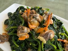 毛蛤蜊拌菠菜-青岛锅贴(四流中路店)