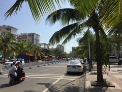 周边街景-叶记猪肚鸡(宝安椰林湾店)