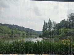 -常德桃花源景区