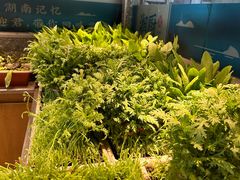 -呷湘厨·鱼汤捞饭·剁椒鱼头·辣椒炒肉(国家会展中心店)