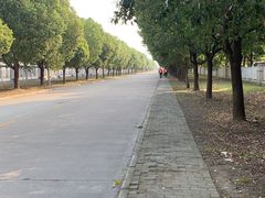 -天虹购物中心(石路店)