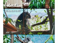 -香港海洋公园