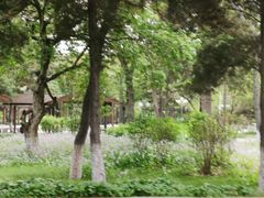-东北大学(南湖校区)