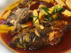 -福照楼汽锅鸡·云南菜(护国路店)