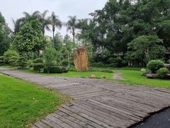 -广西壮族自治区药用植物园