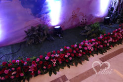 -IDOI婚礼策划·IDOIWEDDING