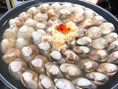 -顺德哥卜卜贝(旗舰店)