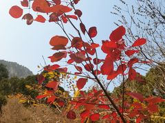 -北京上方山国家森林公园