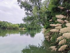 -西溪国家湿地公园