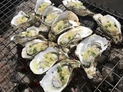 -顺德哥卜卜贝(旗舰店)