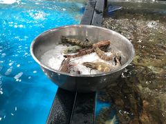 -盒马鲜生(曜一城店)