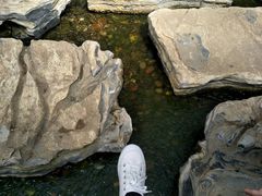 -南通洲际绿博园