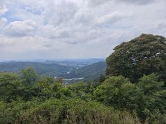 -黄埔油麻山森林公园