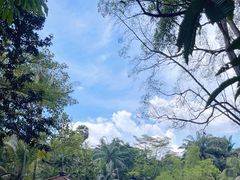-吉隆坡雀鸟公园