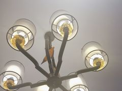 -树厨地道黔菜(清镇职教城店)