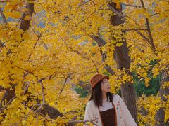 -遵化市禅林寺古银杏风景园