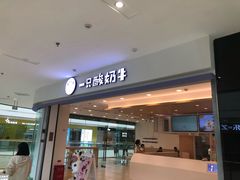 原味酸奶西米露-一只酸奶牛(双流万达广场店)