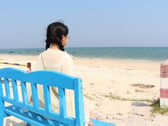 -贝壳沙滩