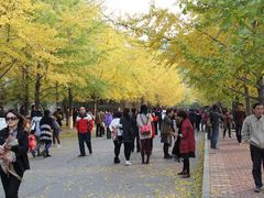 -辽宁大学(崇山校区)