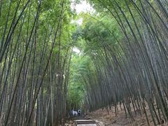 -穹窿山景区