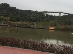 -飞凤山奥体公园