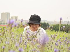 -光明小镇欢乐田园