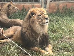 -昆明动物园
