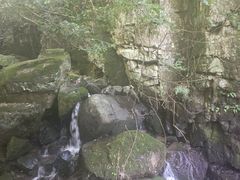 -藏龙百瀑风景区