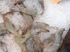 -梨花自助烤肉(乐宾店)