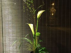 店内环境-瓷语堂(上海五维空间创意园店)