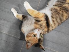 -禹城市禹王亭博物馆