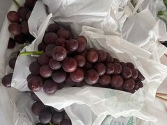 -马陆小张葡萄园农家乐