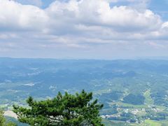 -齐岳山