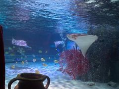 -沈阳海洋探索中心