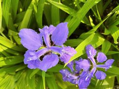 -永定河休闲森林公园