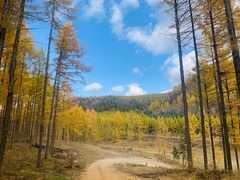 -塞罕坝国家级自然保护区