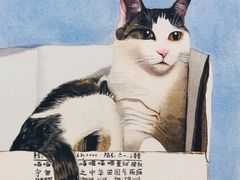 -美联众合动物医院·内科·皮肤科·外科(古城分院)