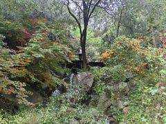 -九如山休闲旅游度假区