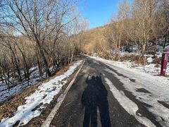 -阳台山自然风景区