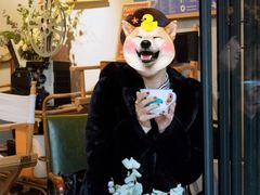 -sandro(港汇恒隆广场店)