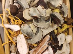 -草墩罗非鱼庄•野生菌•腊排骨(七星街上段店)