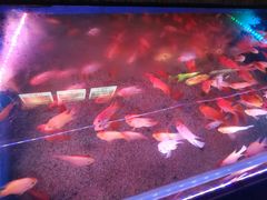 -顺德南宏海立方海洋公园
