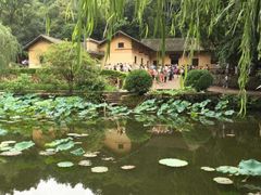 -韶山毛泽东同志故居